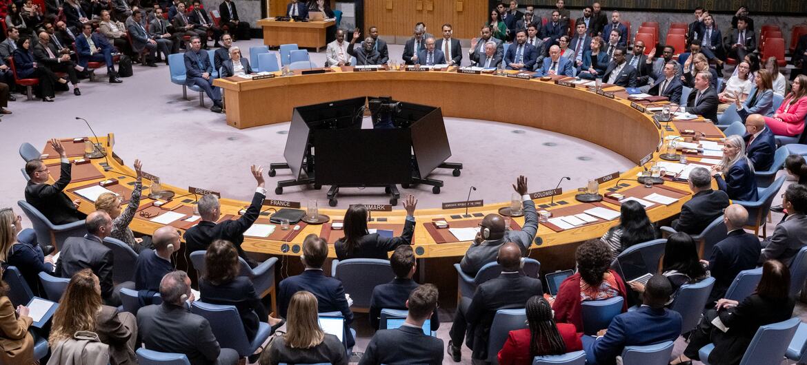 UN Security Council